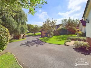 Driveway- click for photo gallery